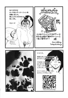 Stray Dogs, 日本語