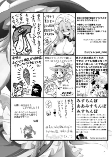 東方ふたなり受け合同誌, 日本語