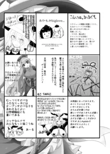 東方ふたなり受け合同誌, 日本語