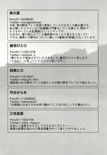 幻想郷野外プレイ合同 東方青姦録, 日本語