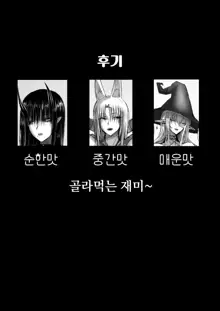 나는 이세계에서 다우너계 모험가 파티에 팔렸다, 한국어