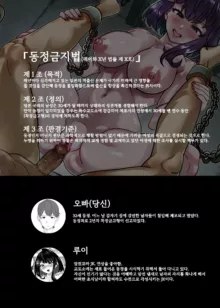 Doutei Kinshihou ~Kuni no Rule de Kyousei Kozukuri~ | 동정 금지법 ~나라의 룰로 강제 아이 만들기~, 한국어