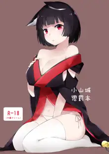 山城ちゃんお仕置き本, 中文