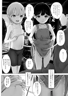 あおり女子 L編 その1 メス◯◯をわからせようとしたら逆にわからされた話, 日本語