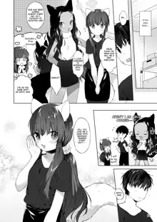 Nekomimi-chan wa Toroketai, English