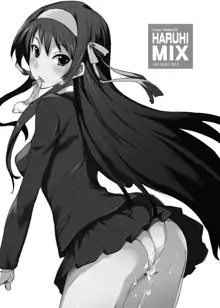 Haruhi Mix, 中文