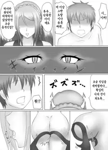 Succubus no Drain Esthe ~Fanbook~ | 서큐버스의 드레인 에스테틱 ~팬북~, 한국어