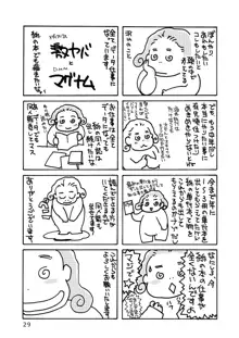 おとなのおもちゃ, 日本語