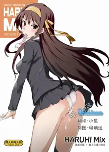 Haruhi Mix, 中文