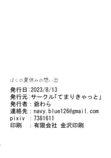 ぼくの夏休みの想い出, 日本語