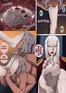 Castlevania Part 1 & Part 2 (decensored), 中文