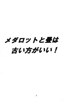 メダロットと畳古い方がいい!, 日本語