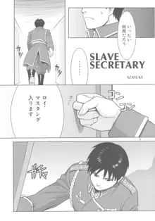 SLAVE SECRETARY, 日本語