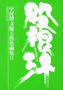 中村博文総天然畫集II 股根汁, 日本語