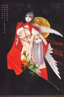 中村博文画集 姫栗毛, 日本語