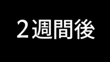 息子の彼女のギャルをお父さんが孕ませた話, 日本語