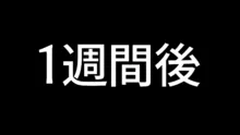 息子の彼女のギャルをお父さんが孕ませた話, 日本語