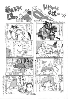 でぃすぱっち！！ Vol.2, 日本語