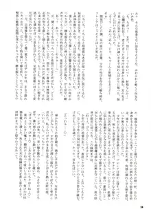 蟲惑楽園調査記録 side:B, 日本語