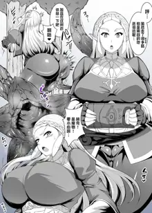 Hime no Shokushu Ketsu Acme, 中文