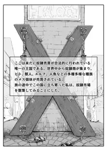 異世界奴隷市場に行ってみた。, 日本語