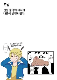 Eliza-chan ga Eroi! | 엘리자양이 야해!, 한국어