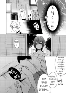 Onee-chan to Boku no Kaihatsu Seikatsu Soushuuhen, 한국어