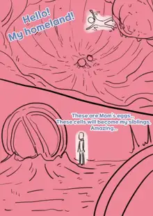 Exploration of the mother's uterus, English