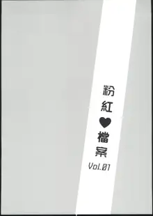 ぴんく♥あーかいぶ Vol.01, 中文