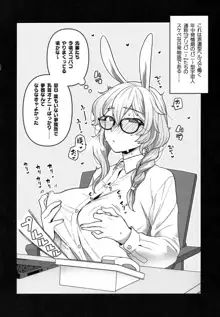 Delibunny らびこ編, 日本語