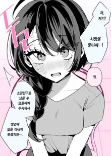 Cool na Tsuma no Sa-chan pixiv Matome, 한국어