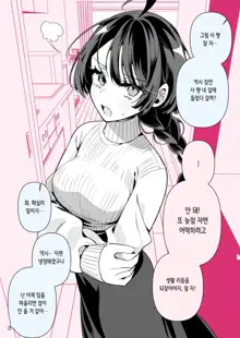 Cool na Tsuma no Sa-chan pixiv Matome, 한국어