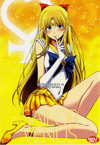 SAILOR VENUS 会場限定コピー本, 中文