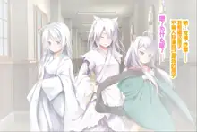 Neko to Tengu Docchi ga Osuki? 3, 中文