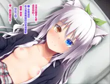 Neko to Tengu Docchi ga Osuki? 3, 中文