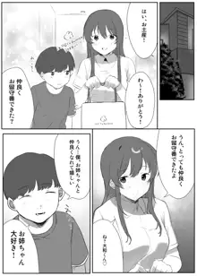 僕に、お姉ちゃんができた。, 日本語