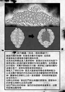 Frieren to Kankaku Shadan Ana | 芙莉蓮與感覚遮断穴, 中文