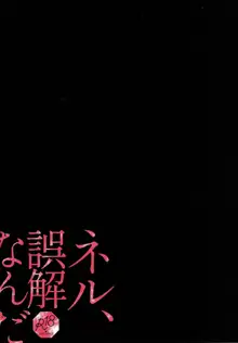 ネル、誤解なんだ, 日本語