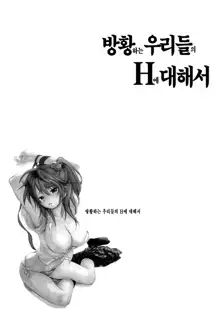 Maigo no Bokura no H ni Tsuite | 방황하는 우리들의 H 에 대해서, 한국어