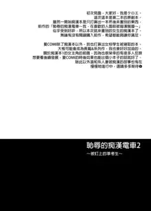 恥辱の痴漢電車総集編, 中文