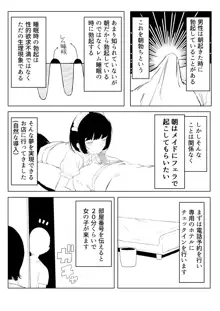 架空風俗体験レポ風漫画, 日本語