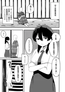 架空風俗体験レポ風漫画, 日本語