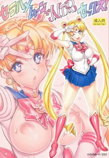 Sera Hame Moon de NTR Sex ! | Sailor Fuck Moon's Netorate Sex!, English