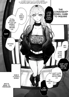 The Day I Decided to Make My Cheeky Gyaru Sister Understand in My Own Way Ch. 1-5, English