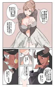 姫様の逆襲, 日本語