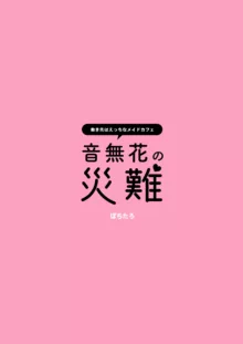 音無花の災難, 中文