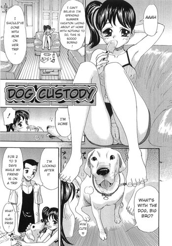 Dog Custody, English