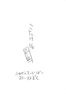 こたけ16, 日本語