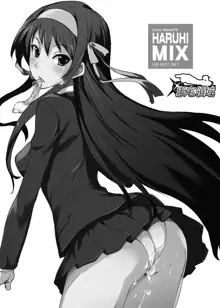 Haruhi Mix, 中文