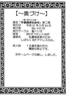 学園麻雀闘牌伝 咲2, 日本語